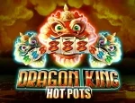 Dragon King Hot Pots